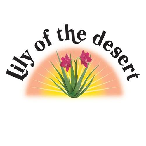Gel hydratant d'Aloe Vera 99 % Lily of the desert – Image 4