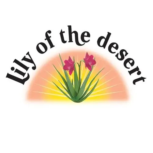 Gel hydratant d'Aloe Vera 99 % Lily of the desert – Image 4