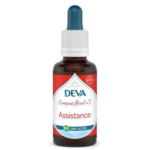 01 - Assistance – Image 3