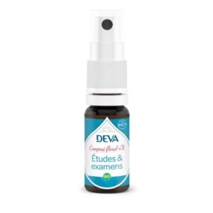 08 - Etudes & Examens