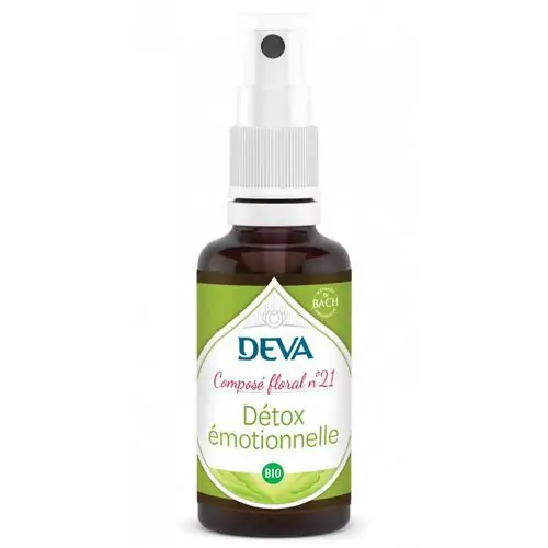 21 - Détox émotionnelle – Image 2
