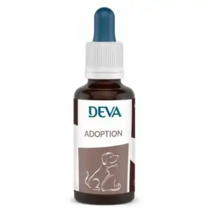 Adoption