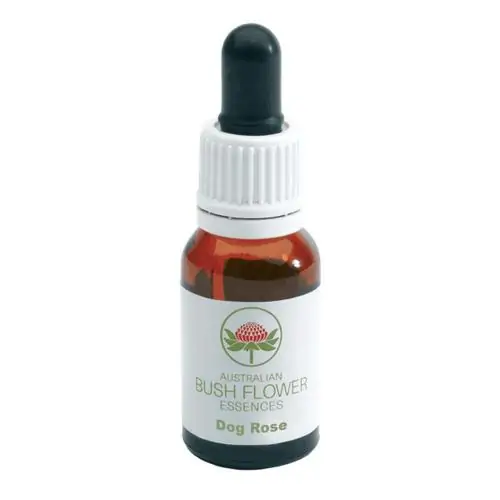 Dog Rose – Image 2