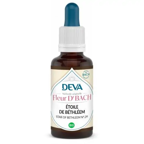 Étoile de Bethléem – Image 3