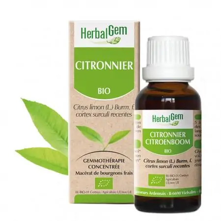 Citronnier – Image 2