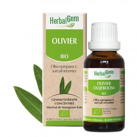 Olivier – Image 2