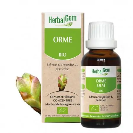 Bourgeon d'Orme macérat concentré - Herbalgem – Image 2