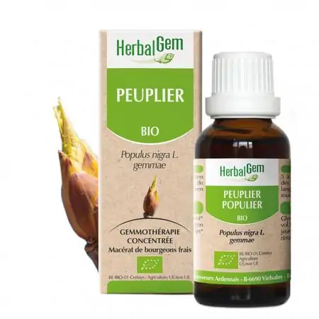 Bourgeon de Peuplier macérat concentré - Herbalgem – Image 2
