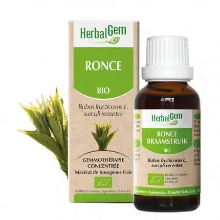 Bourgeon de Ronce macérat concentré - Herbalgem – Image 2
