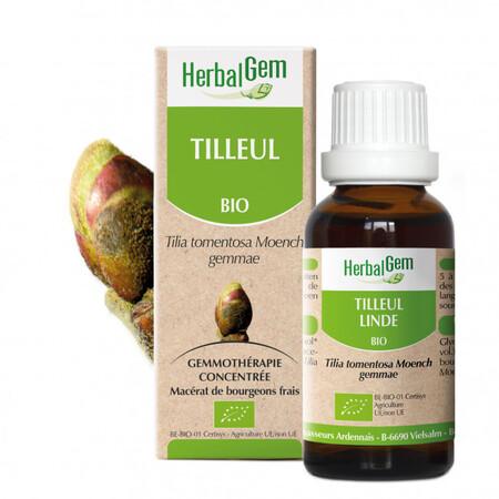 Tilleul – Image 2