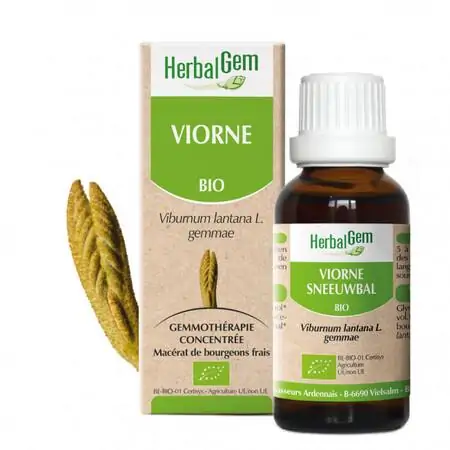 Bourgeon de Viorne macérat concentré - Herbalgem – Image 2