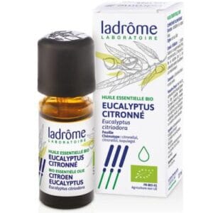 Eucalyptus Citronné – Image 3