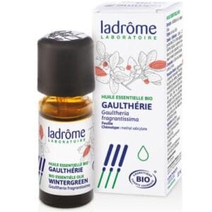 Gaulthérie (Winthergreen) – Image 3