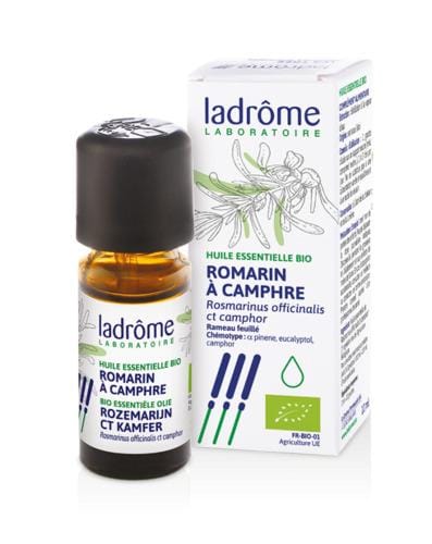 Romarin amphre
