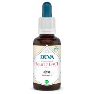 Hêtre – Image 3