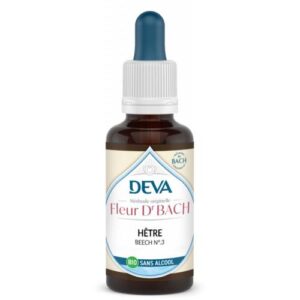 Hêtre – Image 4