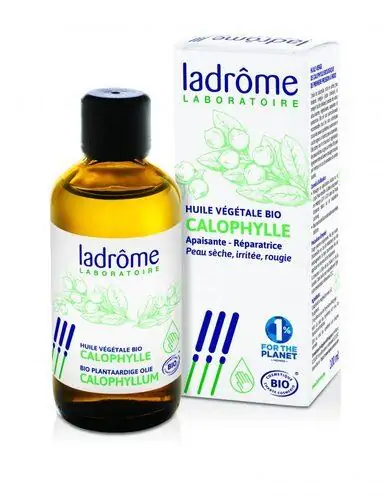 Huile végétale de calophylle bio - Ladrôme – Image 2