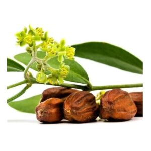 Huile de jojoba