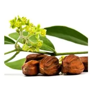 Huile de jojoba