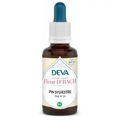 Pin Sylvestre – Image 3