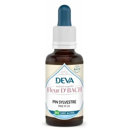 Pin Sylvestre – Image 4