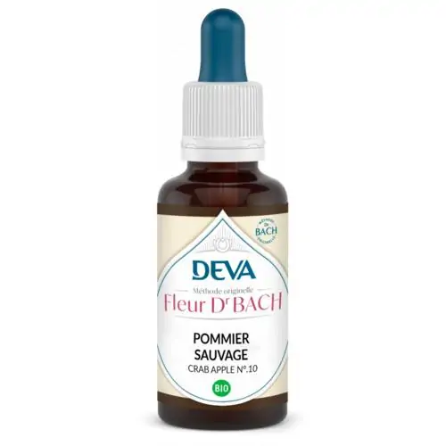 Pommier Sauvage – Image 3