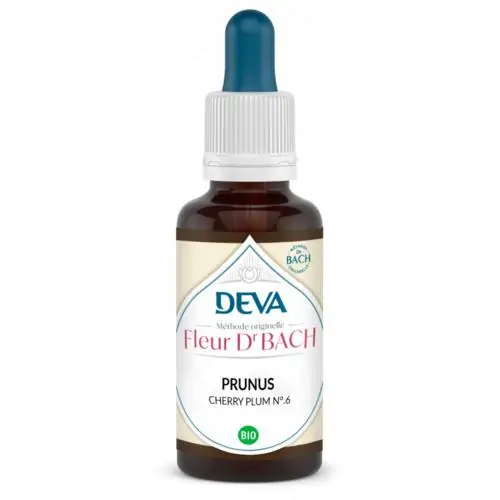 Prunus – Image 3