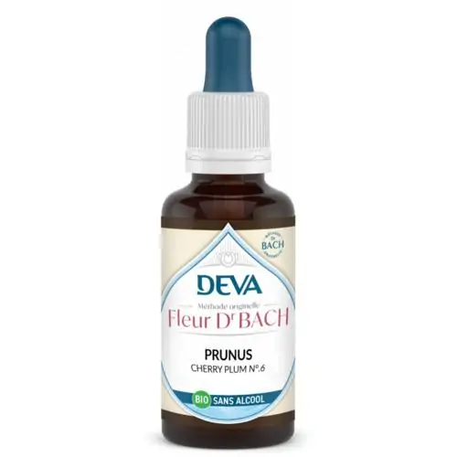 Prunus – Image 4