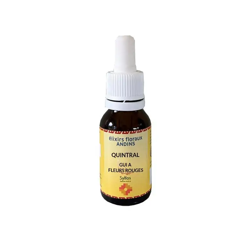 Quintral – Image 2