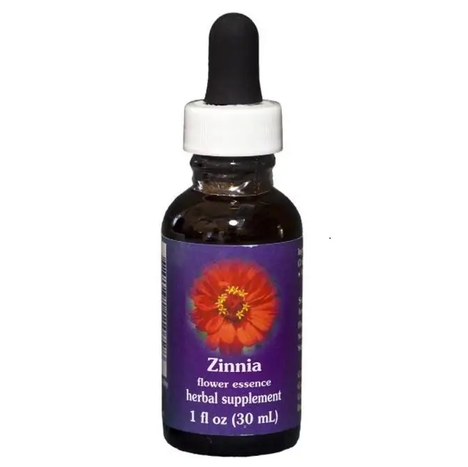 Zinnia – Image 2