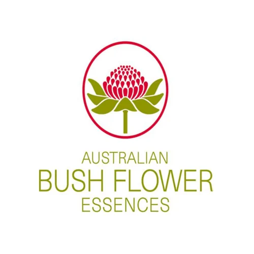 Alpine Mint Bush – Image 3